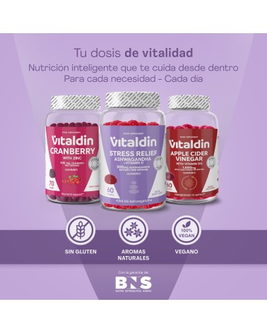 Ashwagandha Gummies - Vitaldin