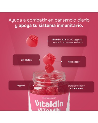 Sugar-Free Vitamin B12 Gummies | Vitaldin