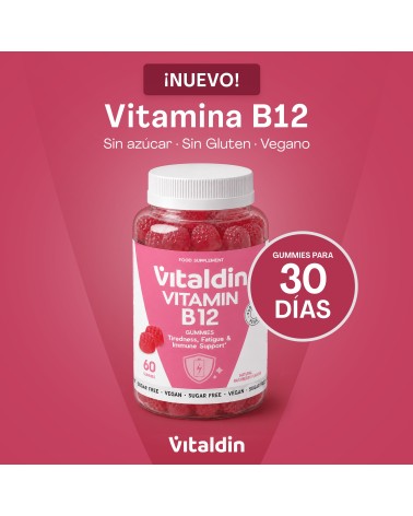 Sugar-Free Vitamin B12 Gummies | Vitaldin