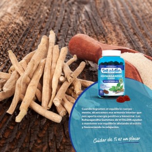 Ashwagandha Gummies - Vitaldin