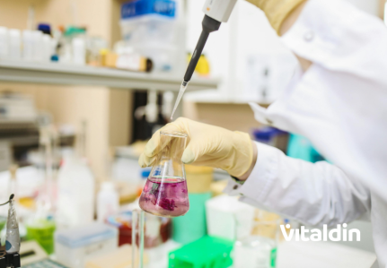 Gominolas funcionales vs. cápsulas: ¿cuál tiene mejor biodisponibilidad?