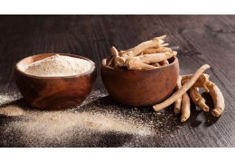 ¿Qué es la Ashwagandha y cuáles son sus beneficios? 